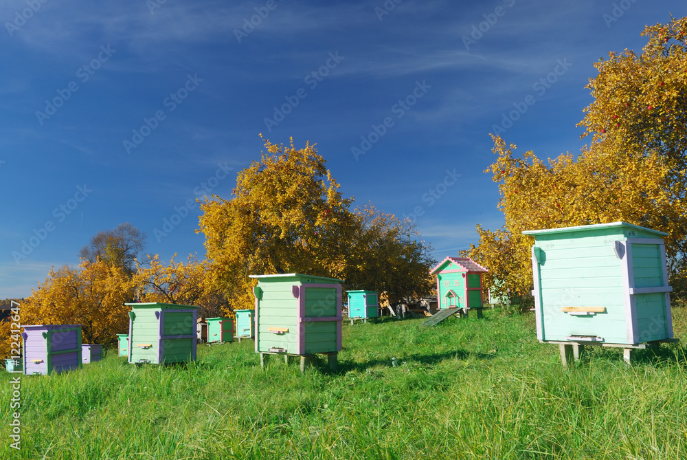 Naklejka premium Honey bee hives