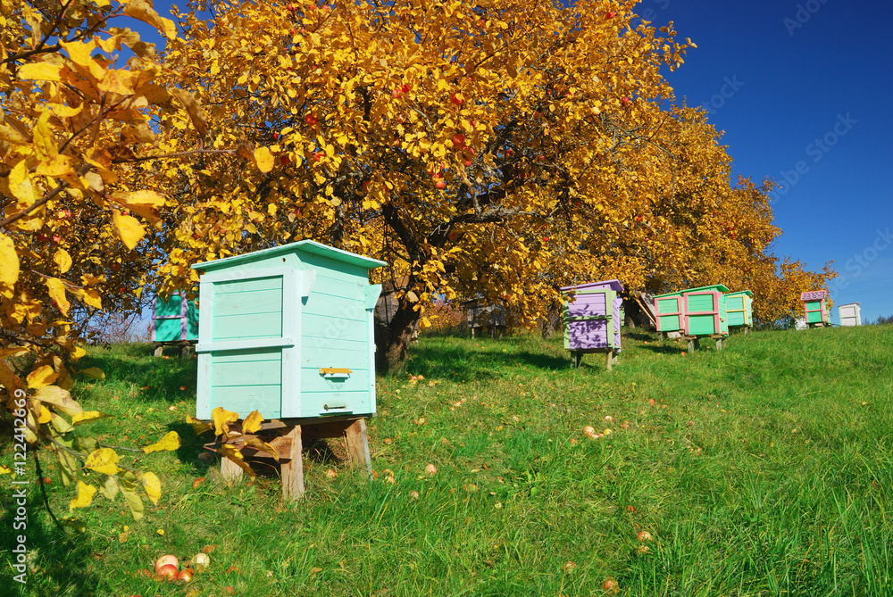 custom made wallpaper toronto digitalHoney bee hives
