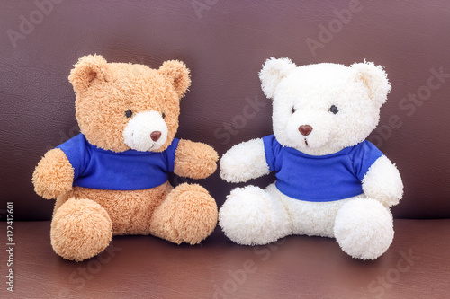 Brown and white teddy bear with blue shirt on the sofa