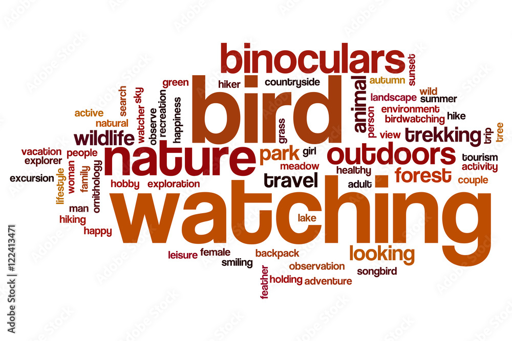 Fototapeta premium Bird watching word cloud