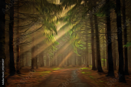 Fototapeta Naklejka Na Ścianę i Meble -  Sun rays in the forest