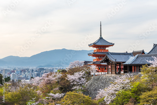 Kiyomizu dera temple in spring photo
