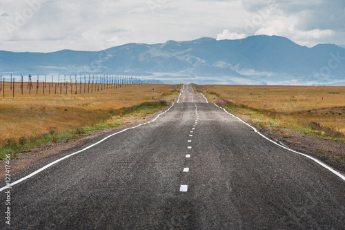 Straight road goes to horizon and mountains