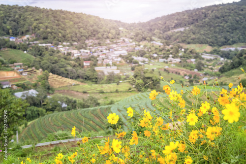 yellow flower and valley city in background.
