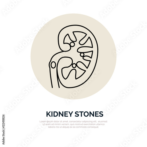 Human organ symbol, kidney. Modern vector line icons of urology. Linear medical pictograms for clinic, hospital. Kidney pictogram. Kidney stones problem