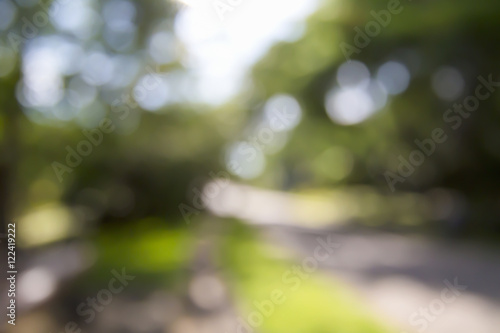 Abstract blur,Bokeh natural park And a source of fresh air to the people who come to relax.
