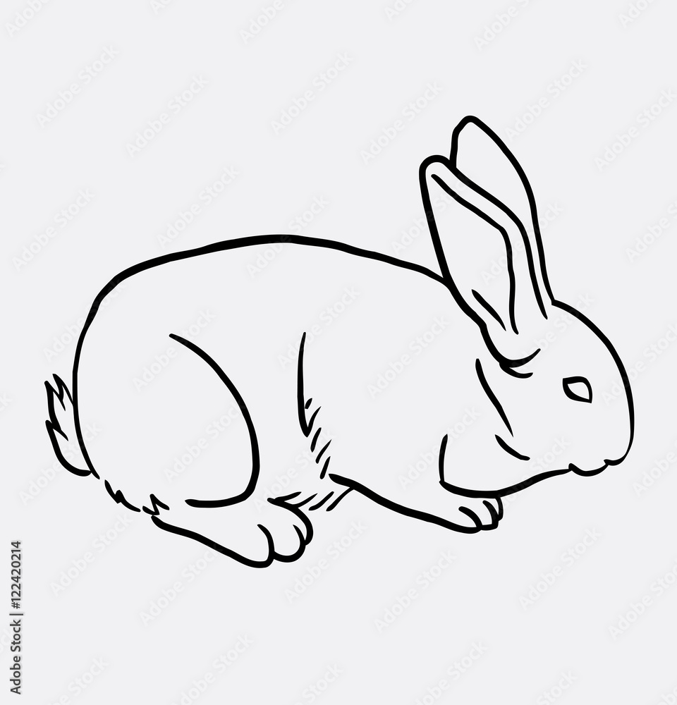 Rabbit pet animal sketch . Good use for symbol, logo, web icon, mascot,  Stock Vector | Adobe Stock