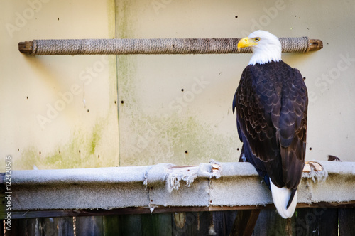 Jamestown Audubon Center and Sanctuary photo