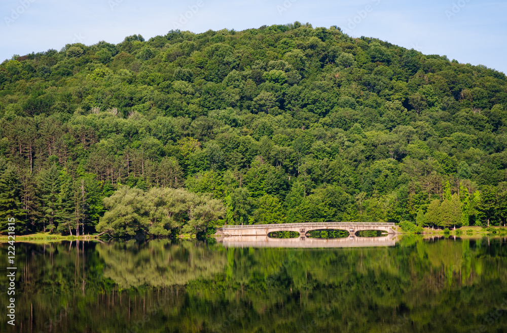 Fototapeta premium Allegany State Park