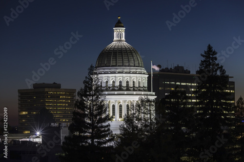California State Capitol Do...