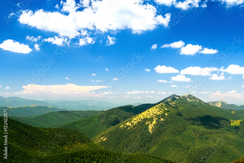 Beautiful landscape of Ukrainian Carpathian mountains, forest and cloudy sky. © Cookie Studio