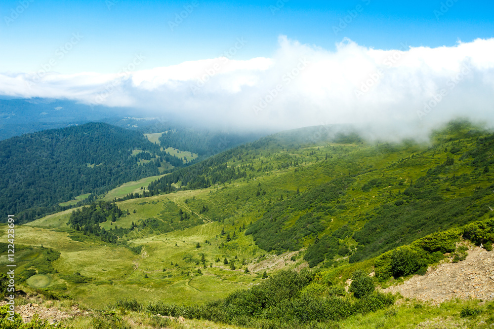 Obraz premium Wonderful landscape of Ukrainian Carpathian mountains.
