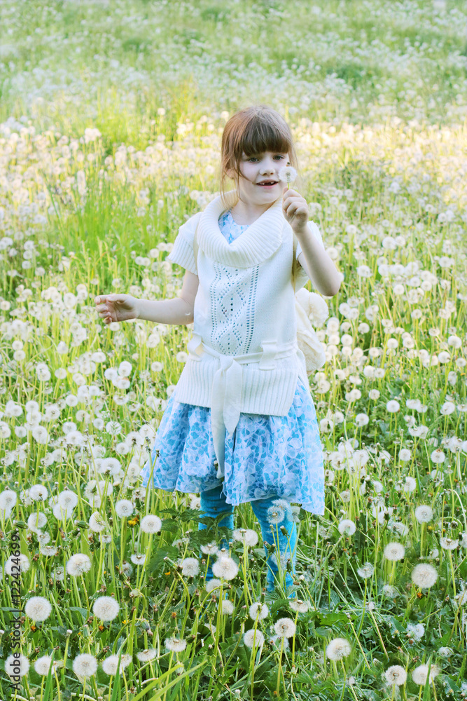 Little beautiful girl holds white dandelion at field in summer d Little beautiful girl holds white dandelion at field in summer d