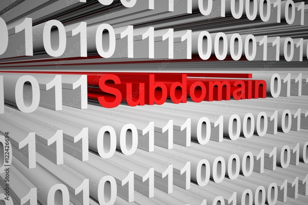 subdomain in the form of binary code, 3D illustration