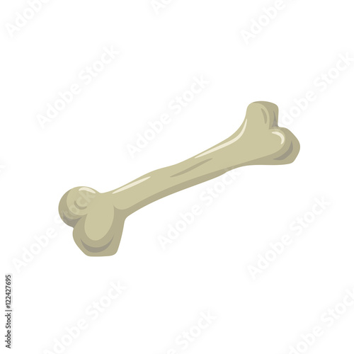 cartoon style single bone isolated on white background. Halloween and medical symbol vector.