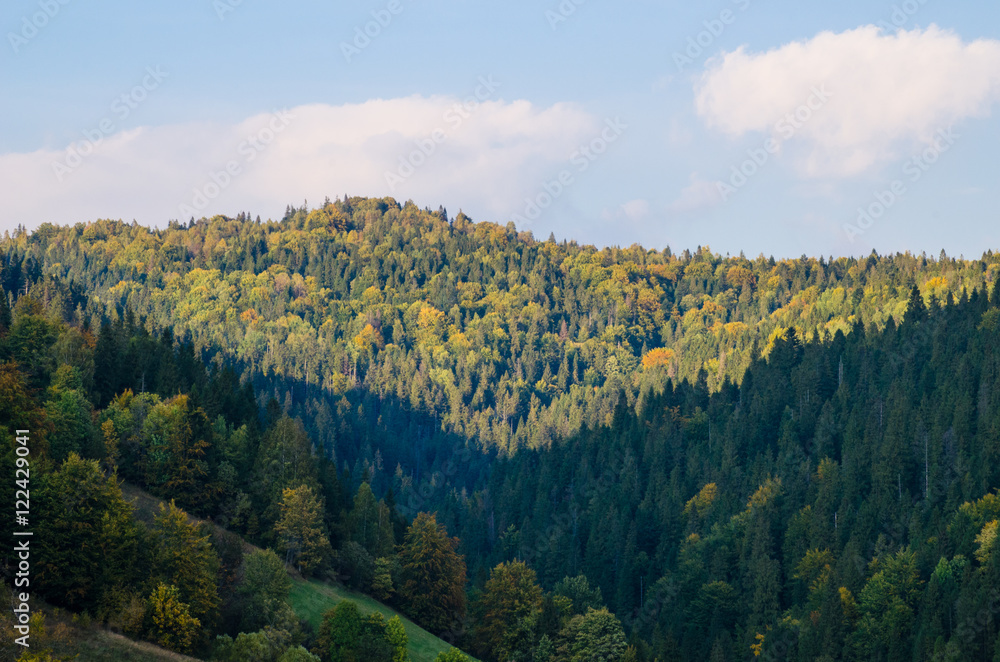 Carpathian mountains landscape Carpathian mountains landscape