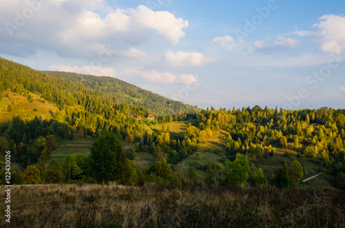 Carpathian mountains landscape