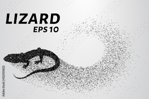 Lizard of particles. Silhouette of a lizard is of little circles. Vector illustration