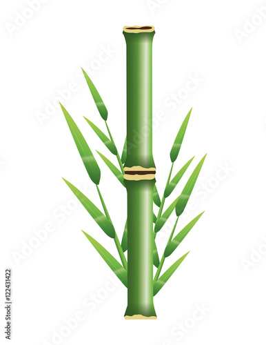 Bamboo trunk with leaves icon. Nature plant decoration and asia theme. Colorful design. Vector illustration