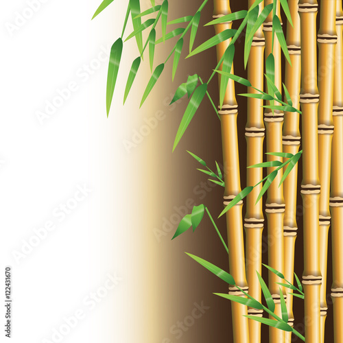 Fototapeta Naklejka Na Ścianę i Meble -  Bamboo trunk with leaves icon. Nature plant decoration and asia theme. Colorful design. Vector illustration