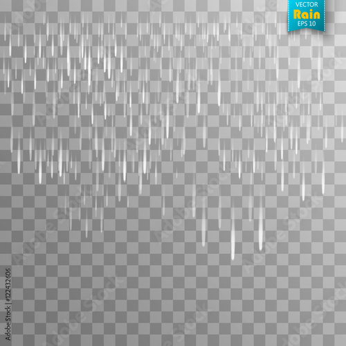 Vector rain isolated on transparent background.