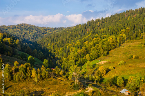 Carpathian mountains landscape