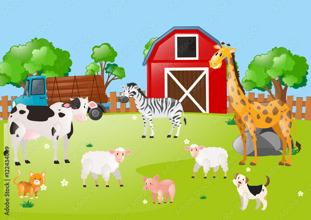 Many animals in the farmyard Many animals in the farmyard