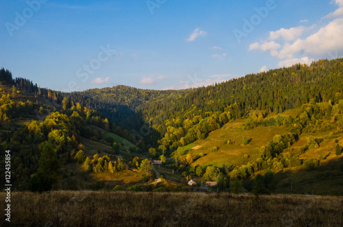 Carpathian mountains landscape © zyoma_1986