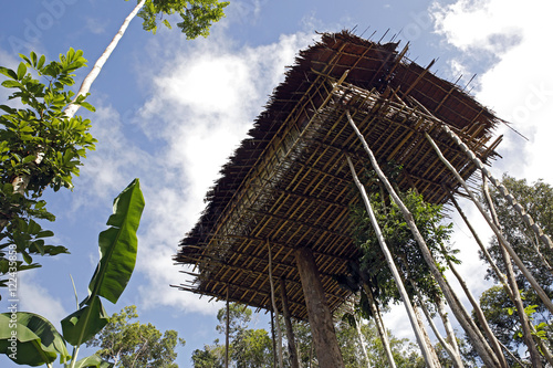 Korowai Treetop House Deep Inside the Forest. Papua, Indonesia photo