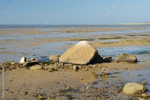 Steine im Wattenmeer