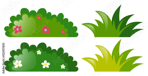 Four bushes with and without flowers