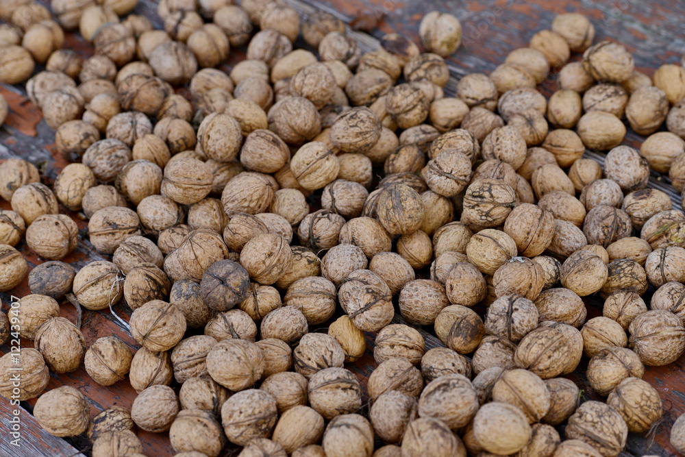 walnuts walnuts