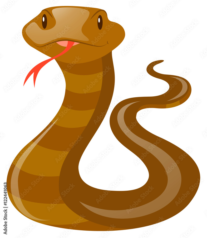 Fototapeta premium Snake with brown skin