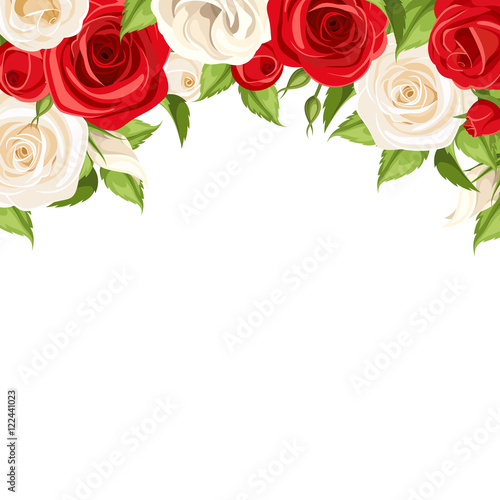Vector background with red and white roses and green leaves.