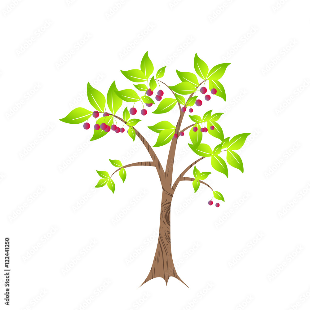 Obraz premium flowers