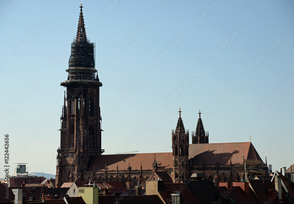 Freiburger Münster