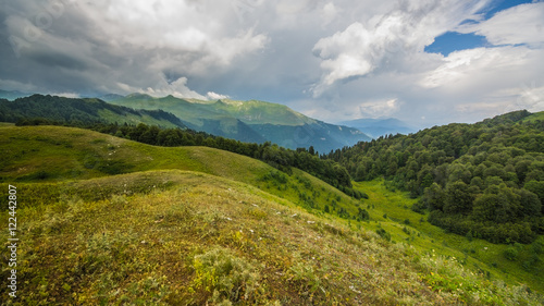 Альпийские луга © gorskayaphoto