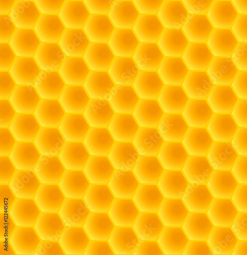 honeycomb pattern back