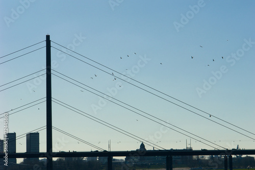 Schrägseilbrücke mit Vogelschwarm