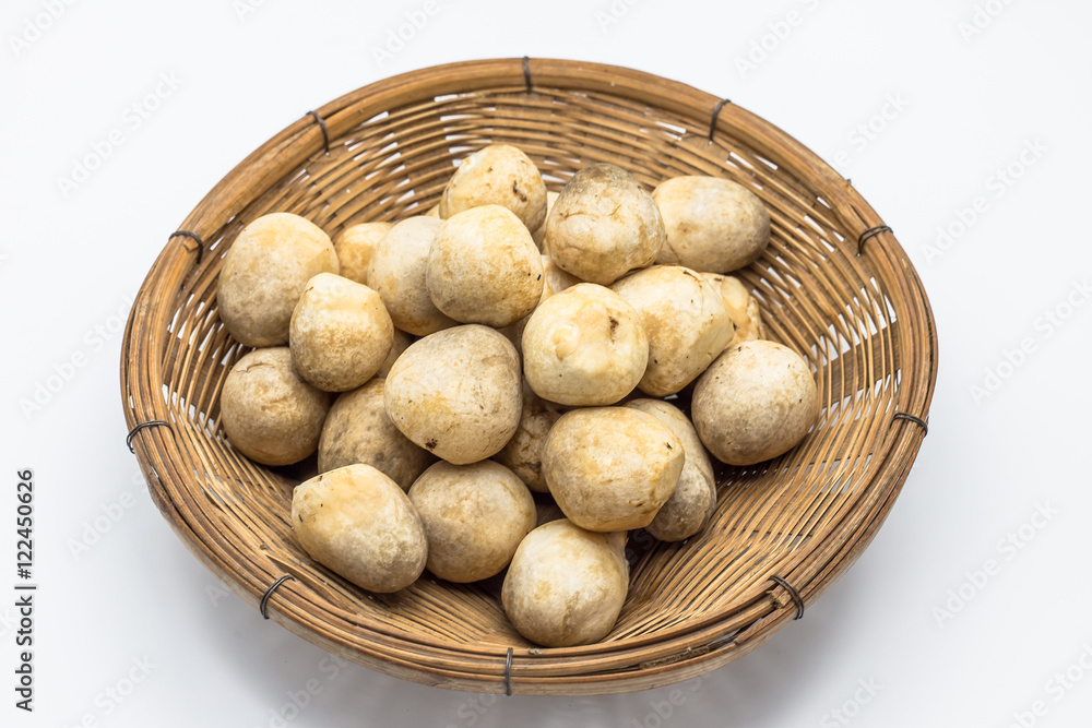 volvariella volvacea mushroom on basket isolated white background volvariella volvacea mushroom on basket isolated white background