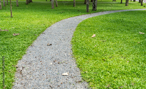 Gray gravel pathway