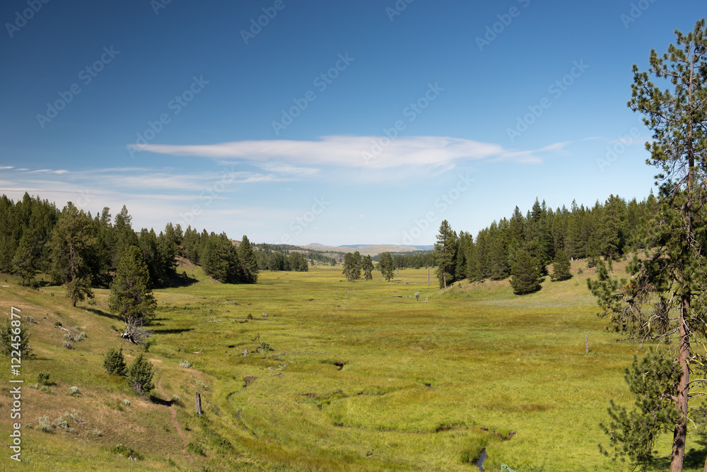 Lush green valley in the Ochoco Mountains of Oregon Lush green valley in the Ochoco Mountains of Oregon
