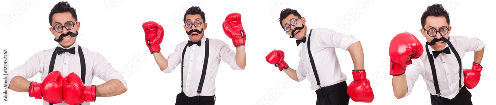Funny boxer isolated on the white background