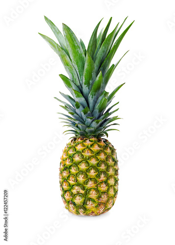 Ripe whole pineapple isolated on white background. Closeup.