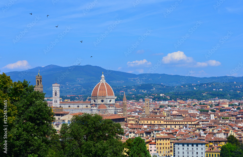 Florence (Italy) - The capital of Renaissance's art and Tuscany region. The cityscape