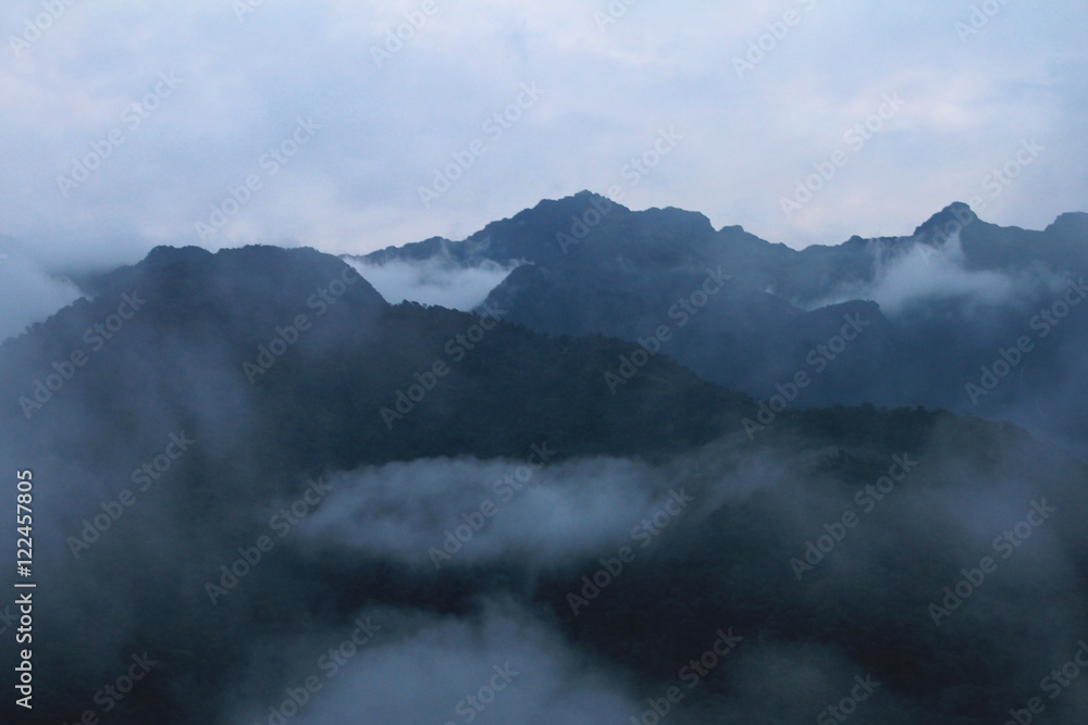 Cloudforest Ecuador mountains close