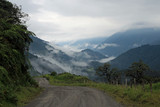 Road trough cloudforest Ecuador mountains