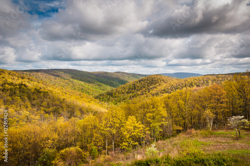 Early spring view of the Blue Ridge Mountains in Shenandoah Nati