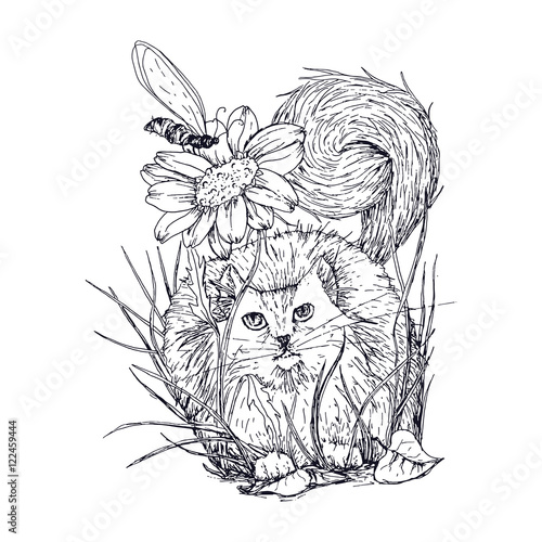 Cat in the grass hunting insect near sunflower flower. Sketch black and white illustration