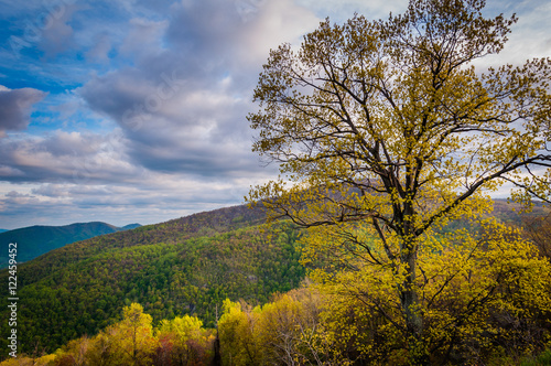 Early spring view of the Blue Ridge Mountains in Shenandoah Nati